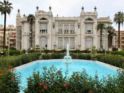 جامعة عين شمس thumbnail 2