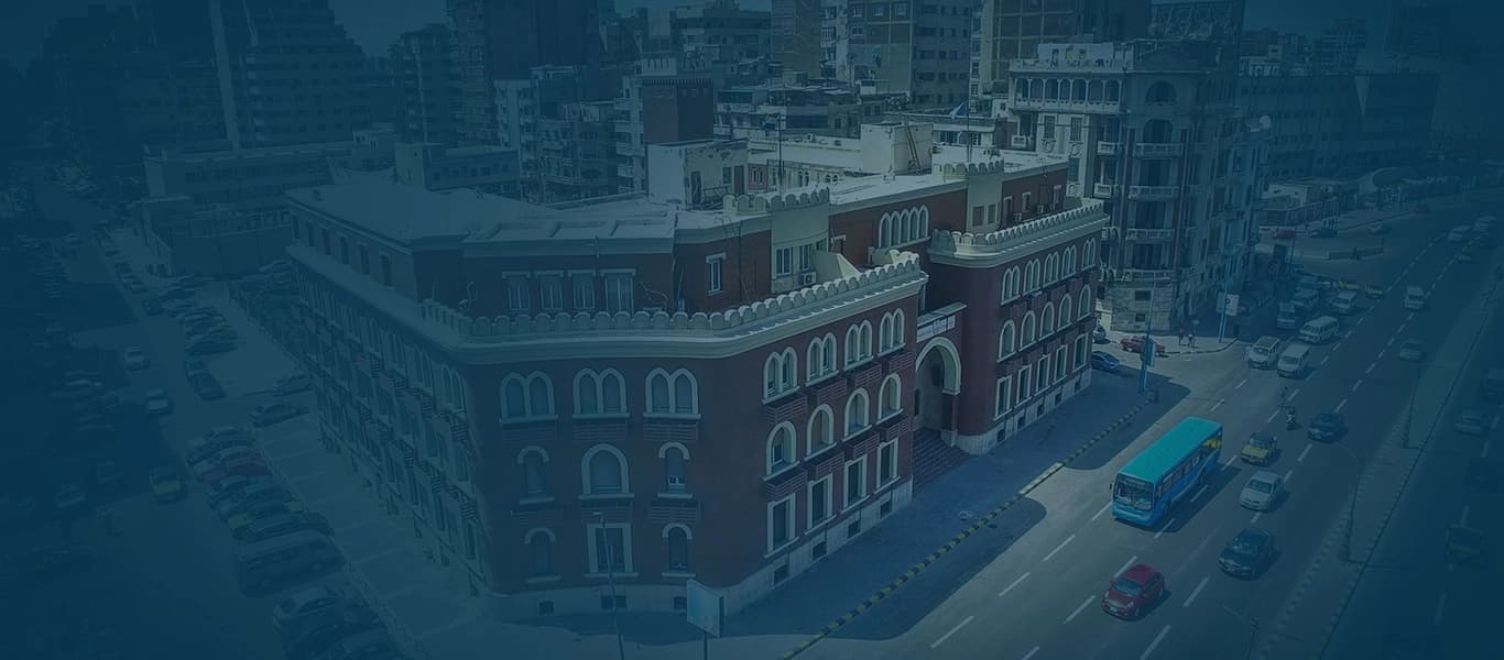 جامعة الإسكندرية thumbnail 2