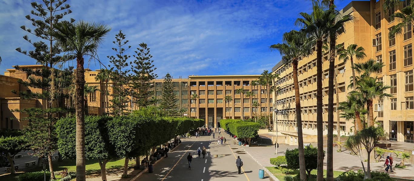جامعة الإسكندرية thumbnail 3