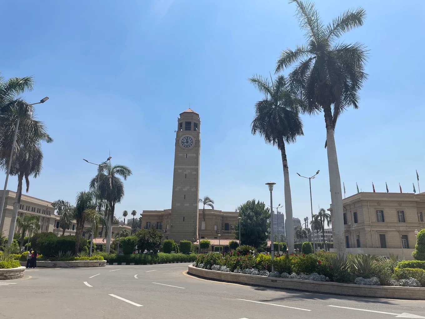 جامعة القاهرة thumbnail 2