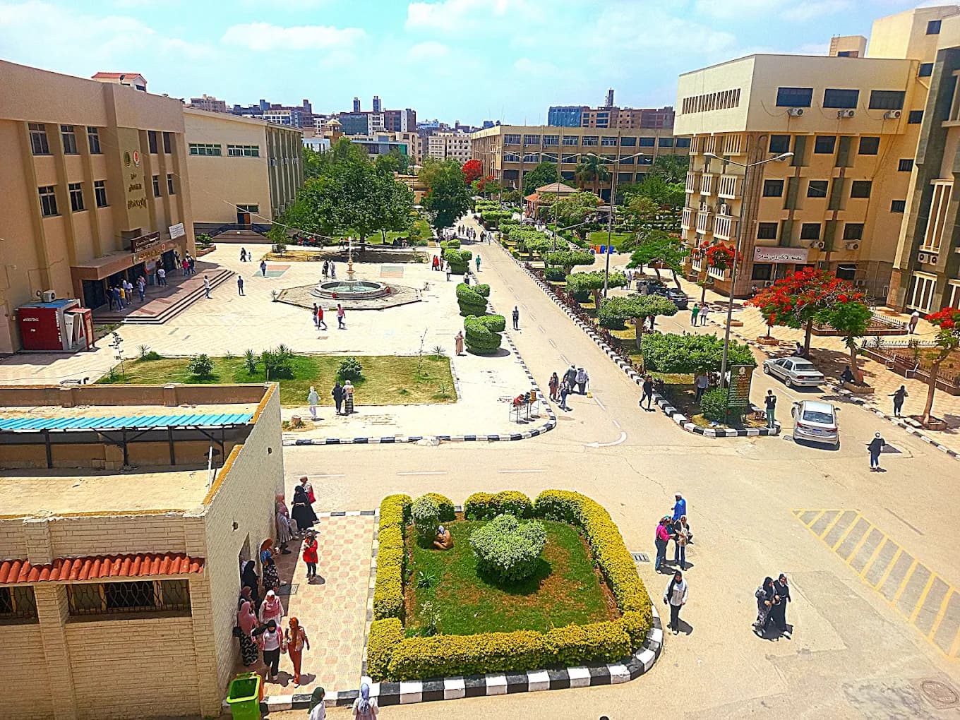 جامعة المنصورة thumbnail 3