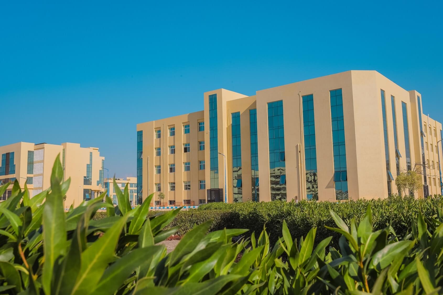 جامعة العريش