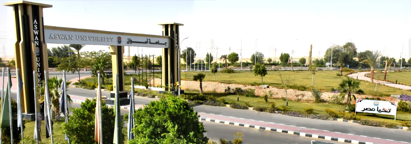جامعة أسوان