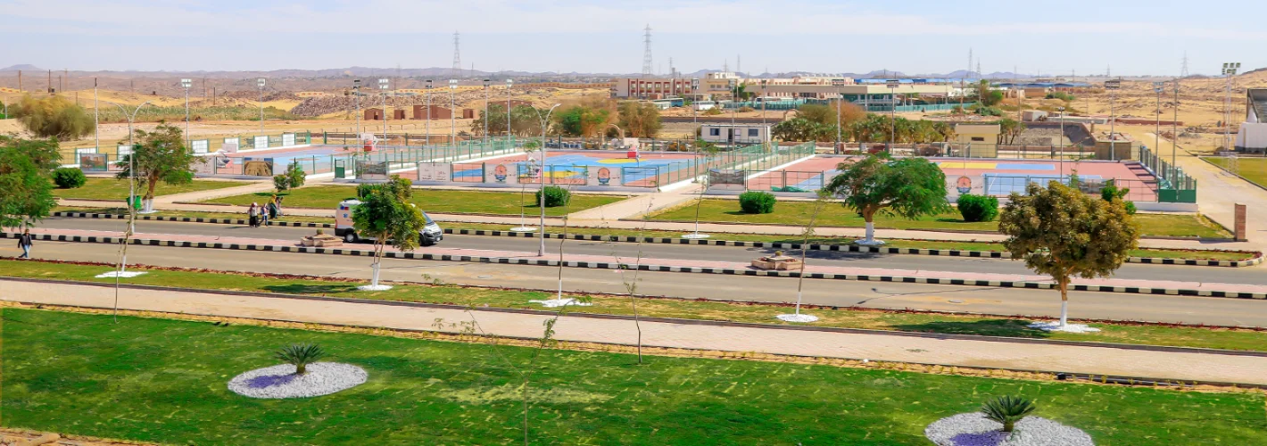 جامعة أسوان
