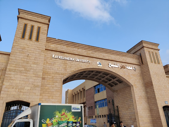 جامعة كفر الشيخ