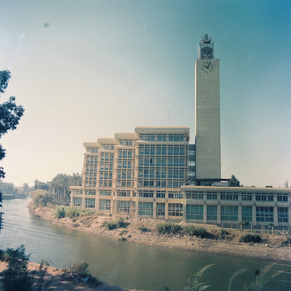 جامعة المنوفية