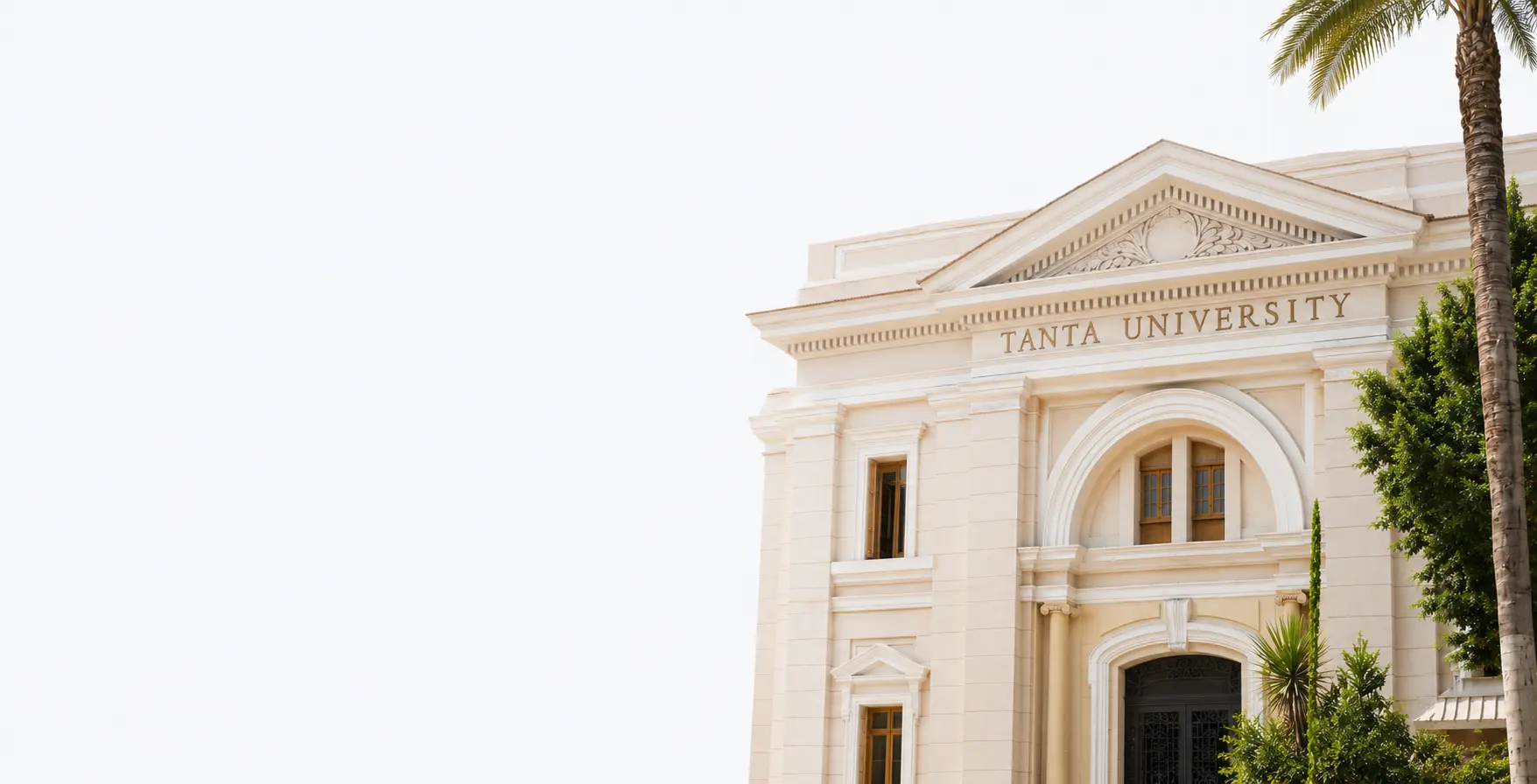 جامعة طنطا