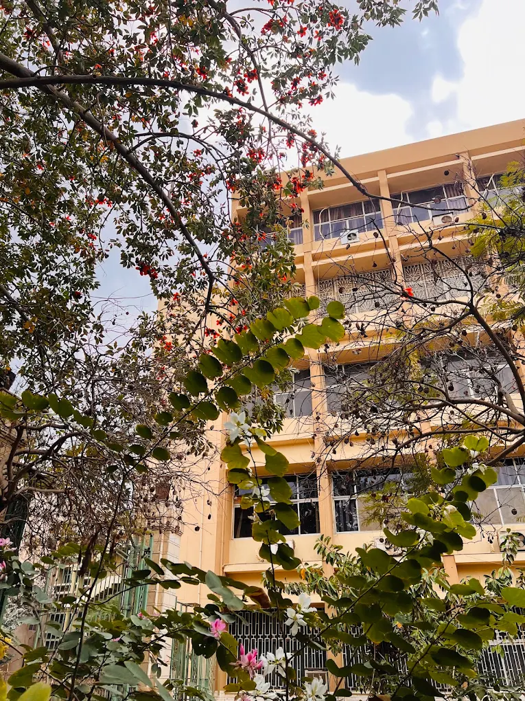 جامعة الزقازيق